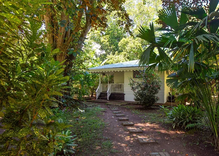 Playa Grande Lodge & Tree House