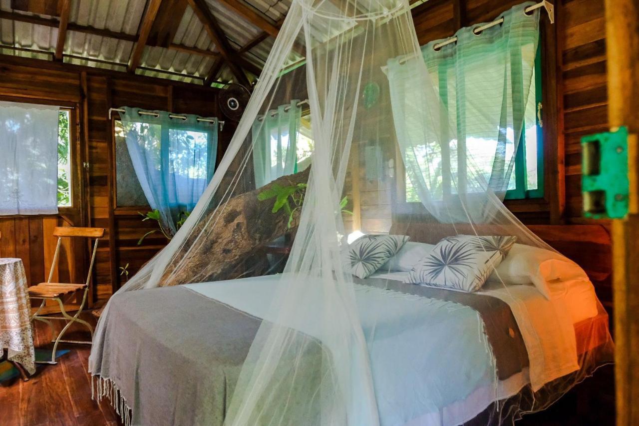 Playa Grande & Tree House