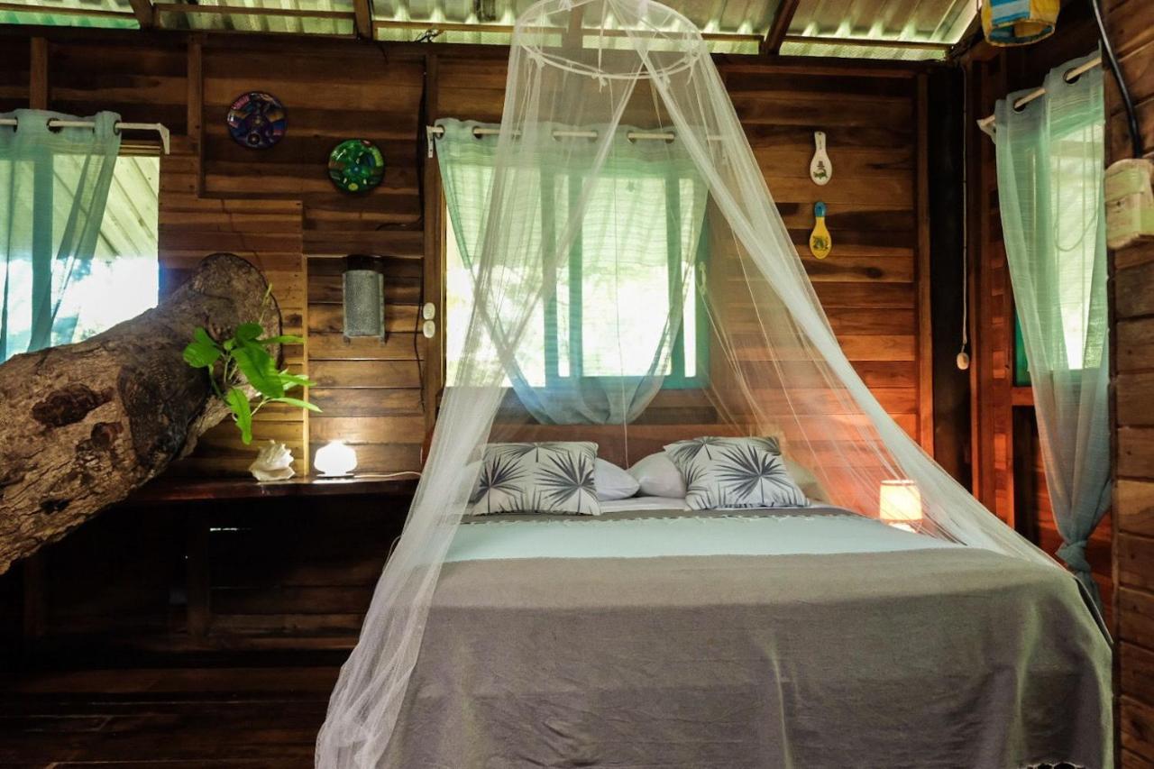 Playa Grande & Tree House Lodge Cahuita