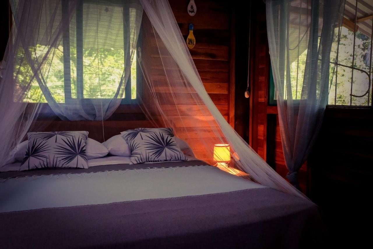Playa Grande & Tree House Lodge