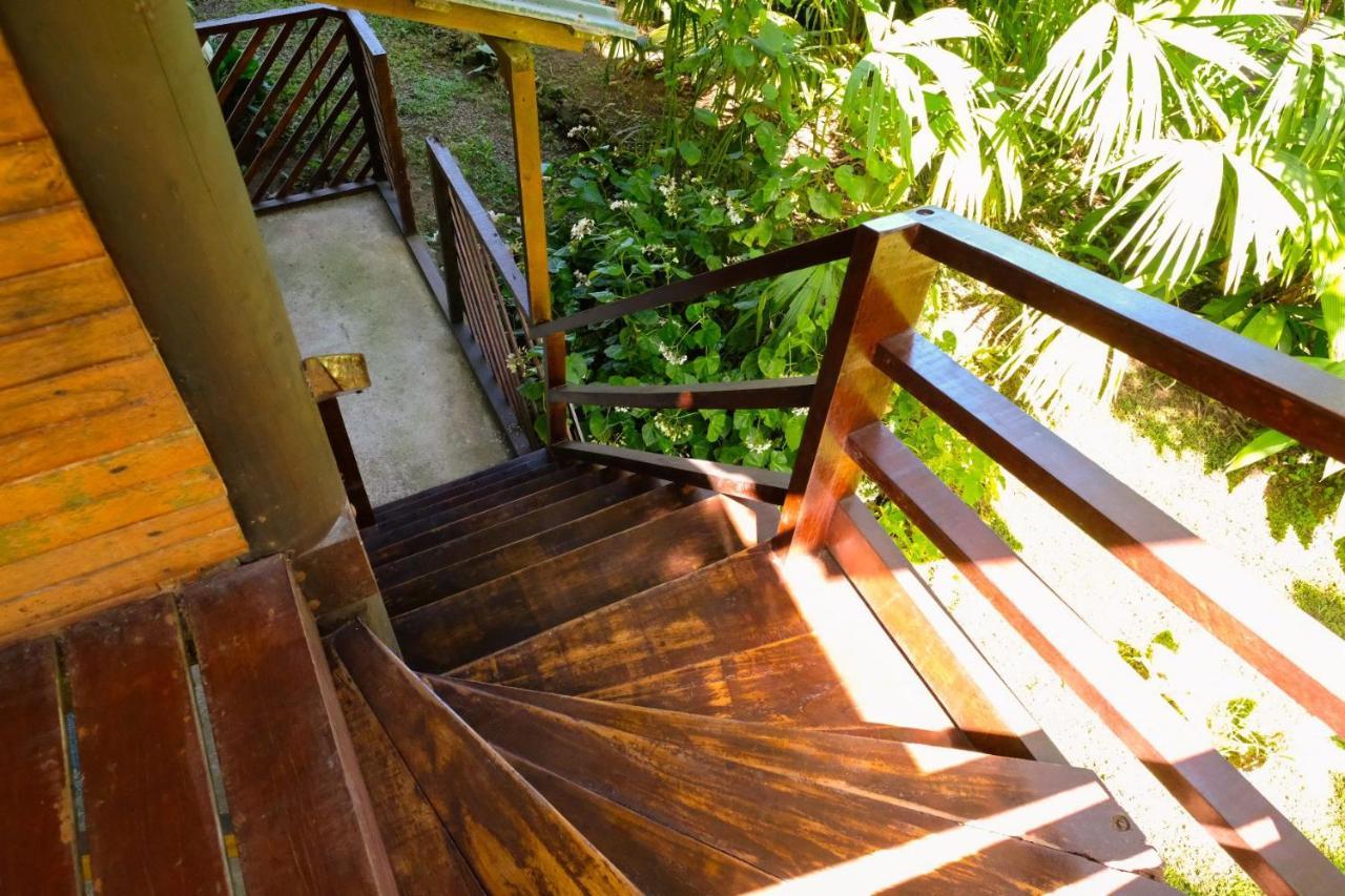 Playa Grande & Tree House Lodge