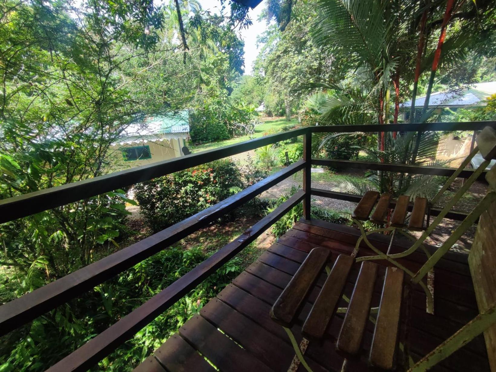 Playa Grande & Tree House Cahuita