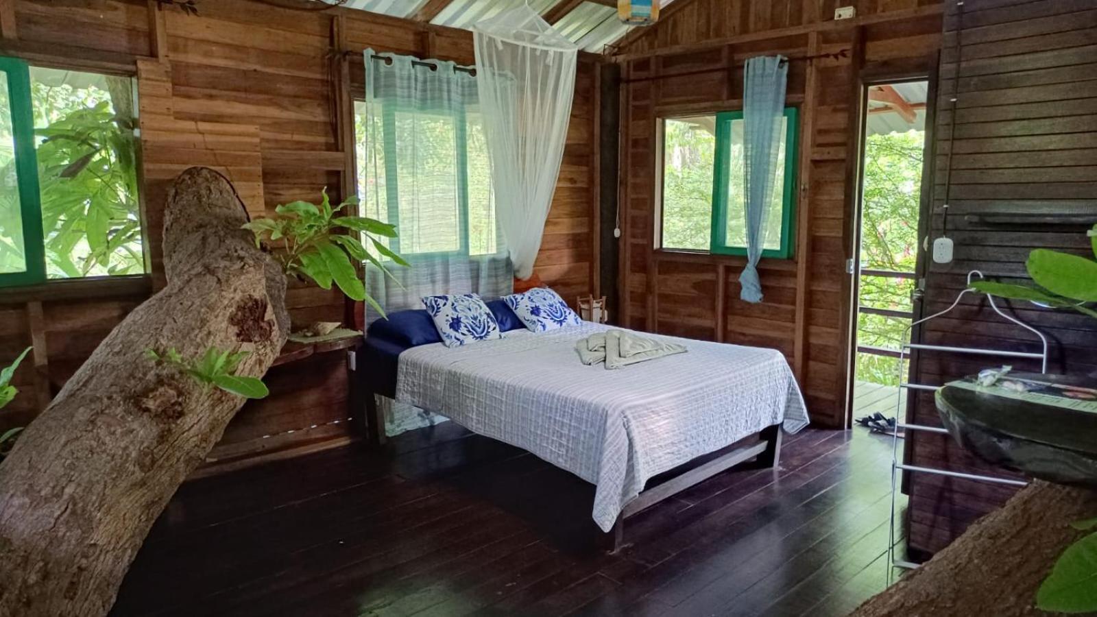 Playa Grande & Tree House * Cahuita
