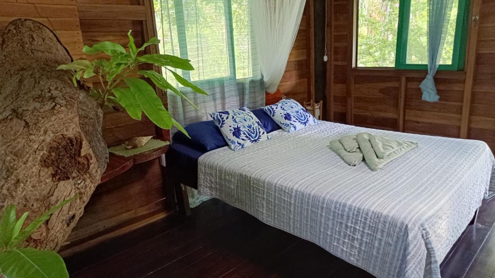 Playa Grande & Tree House