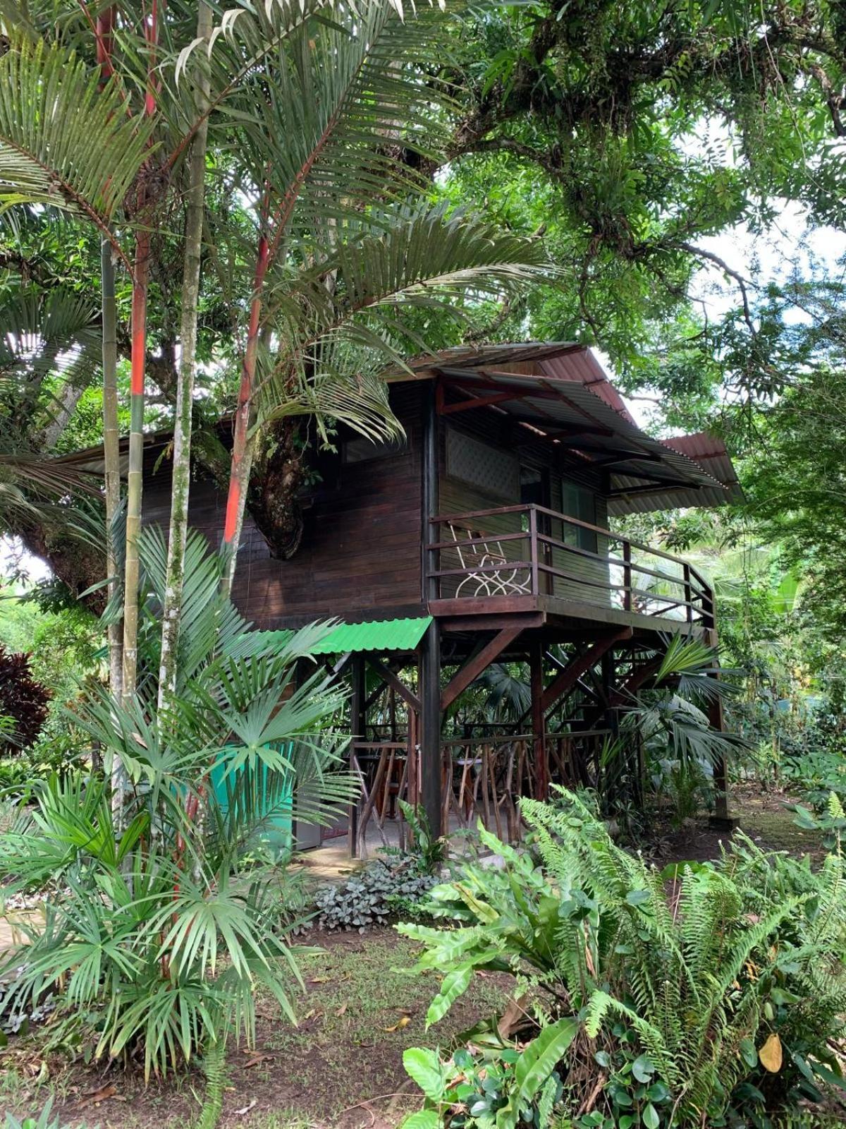 Playa Grande & Tree House Lodge Cahuita
