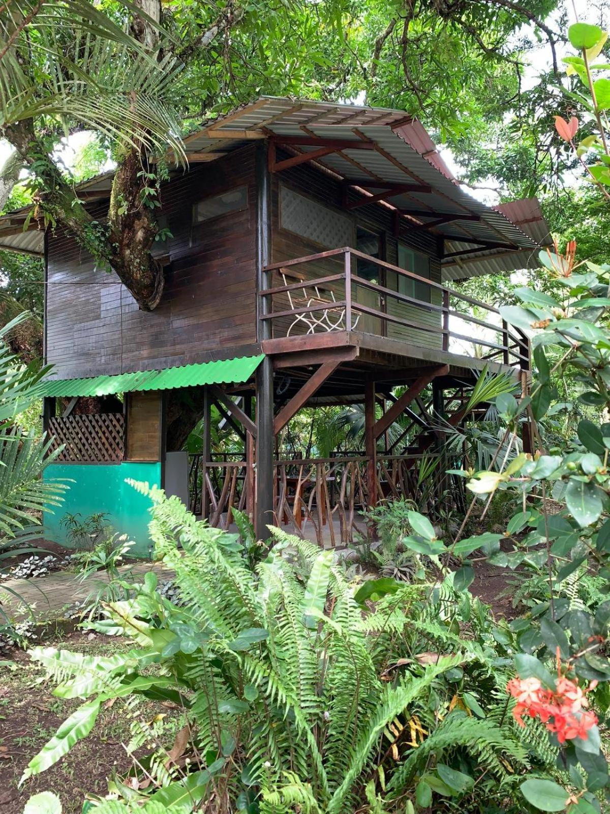 Lodge Playa Grande & Tree House