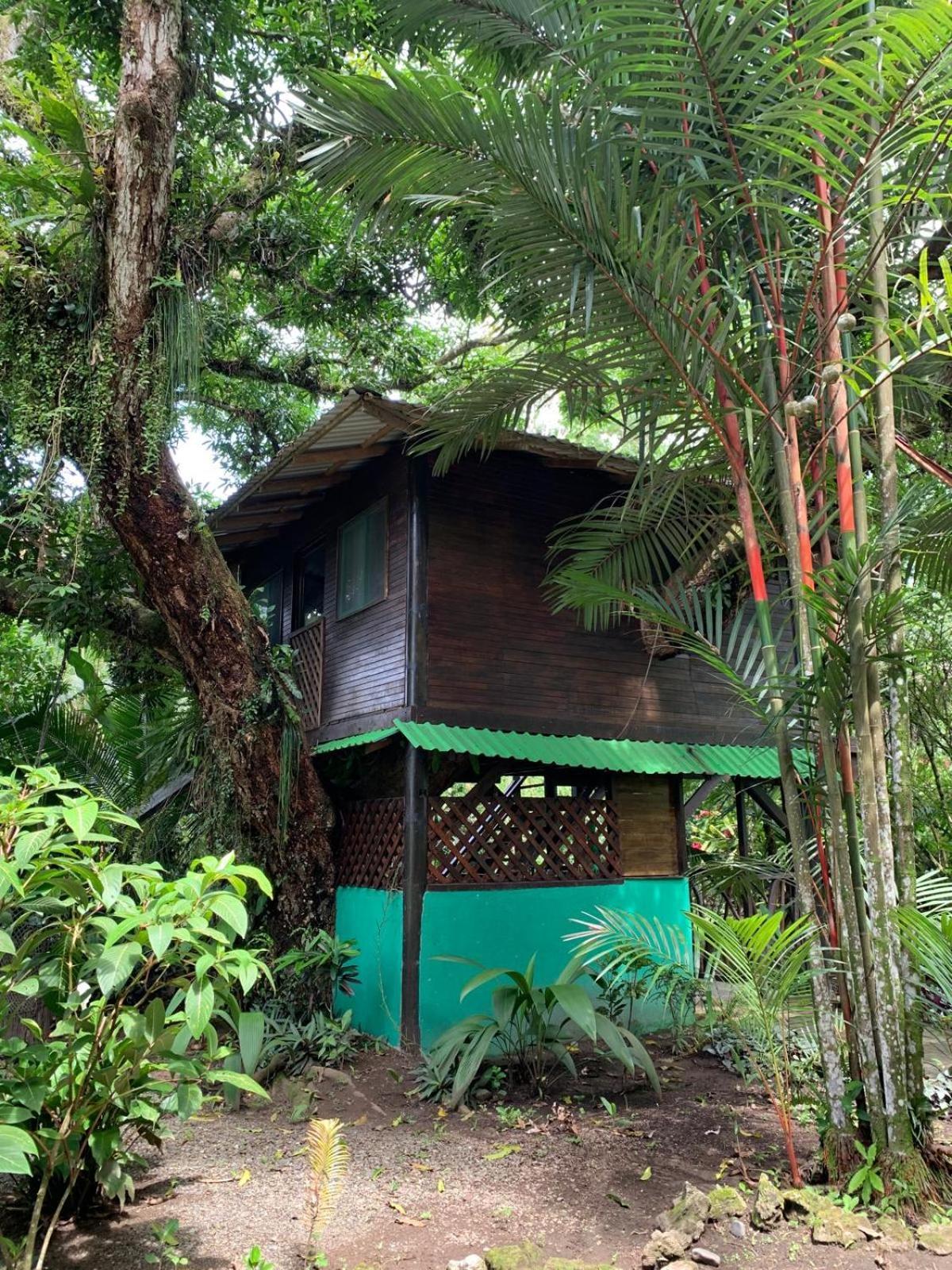 Playa Grande & Tree House Lodge *