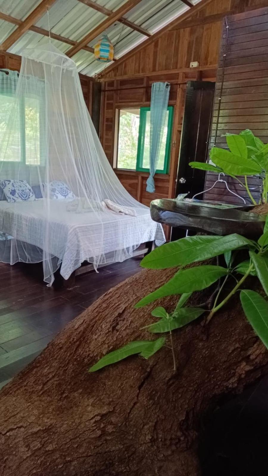 Playa Grande & Tree House Lodge Cahuita