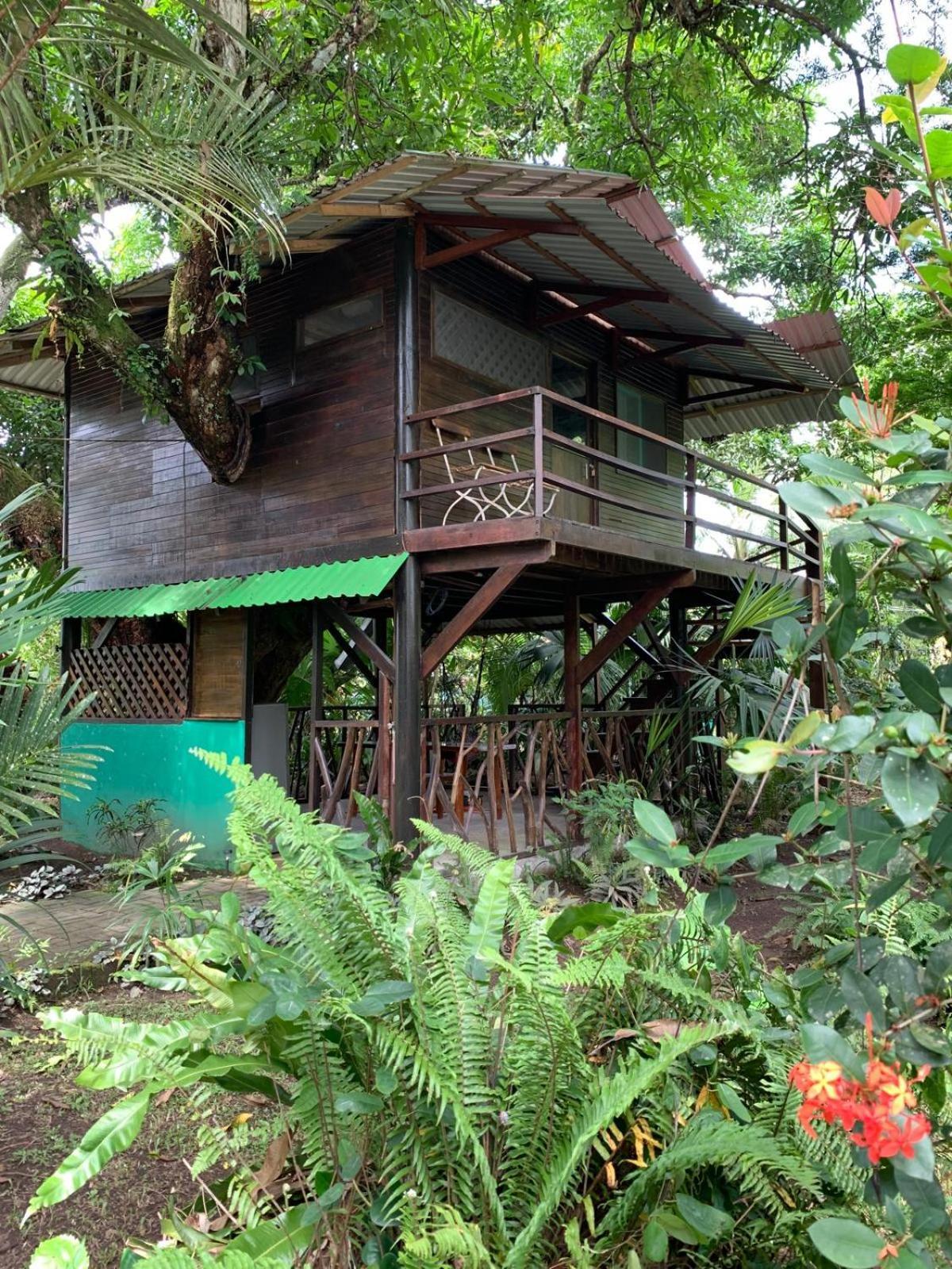 Playa Grande & Tree House Cahuita