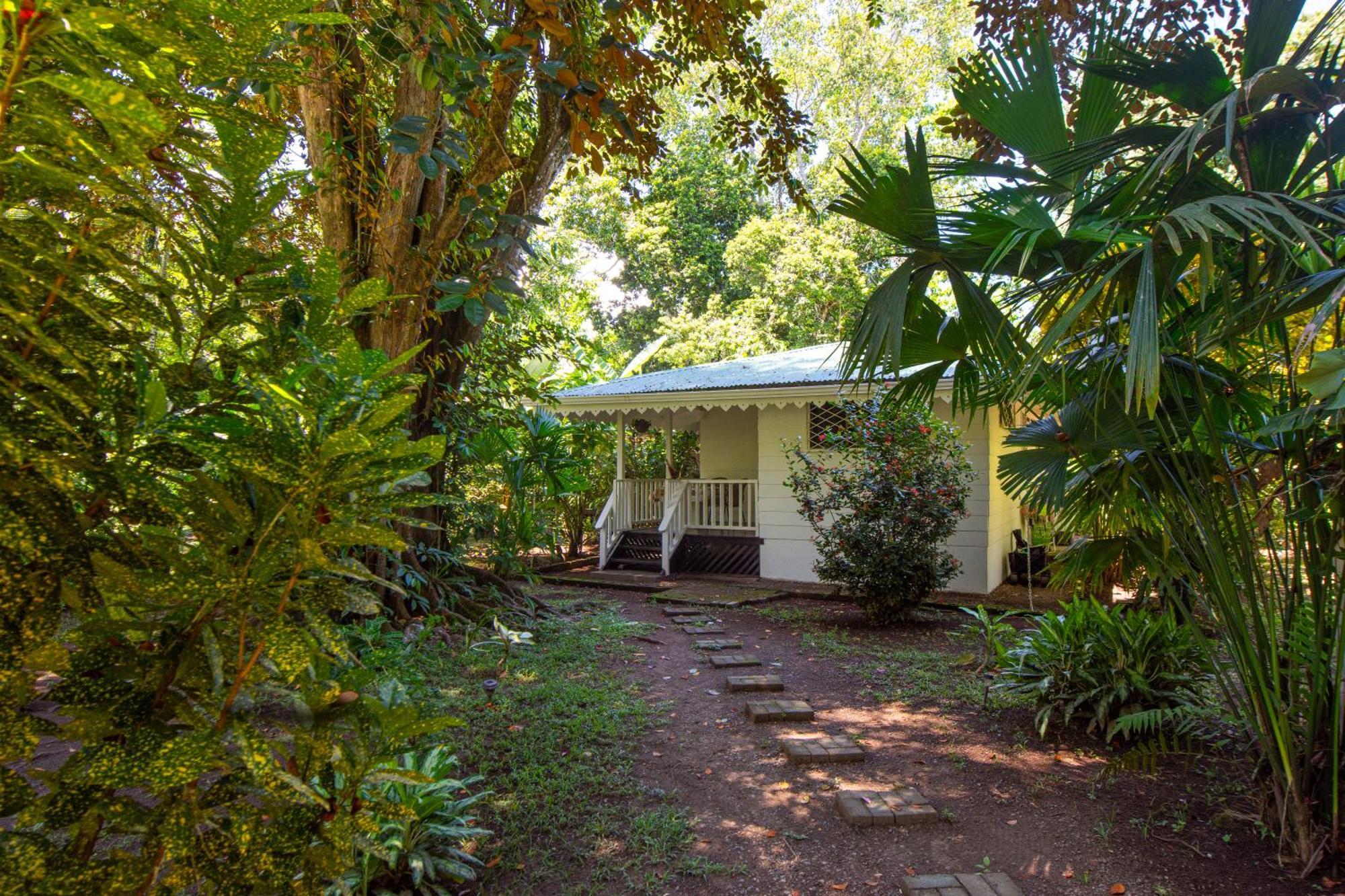 Playa Grande & Tree House Lodge Cahuita