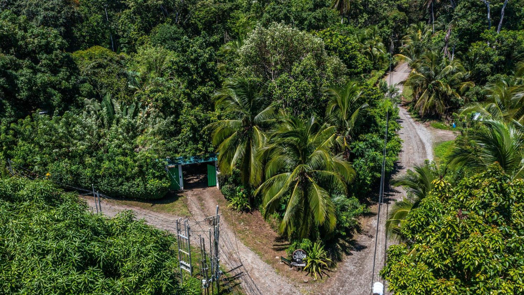 Playa Grande & Tree House Cahuita