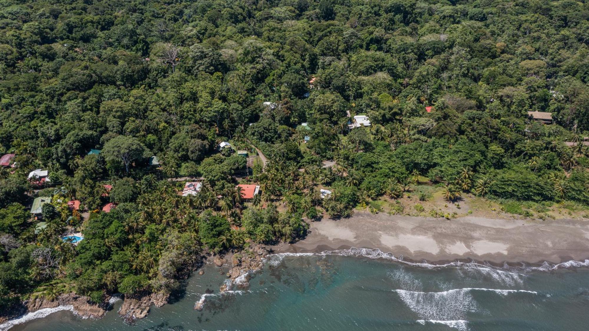 Playa Grande & Tree House Lodge Cahuita