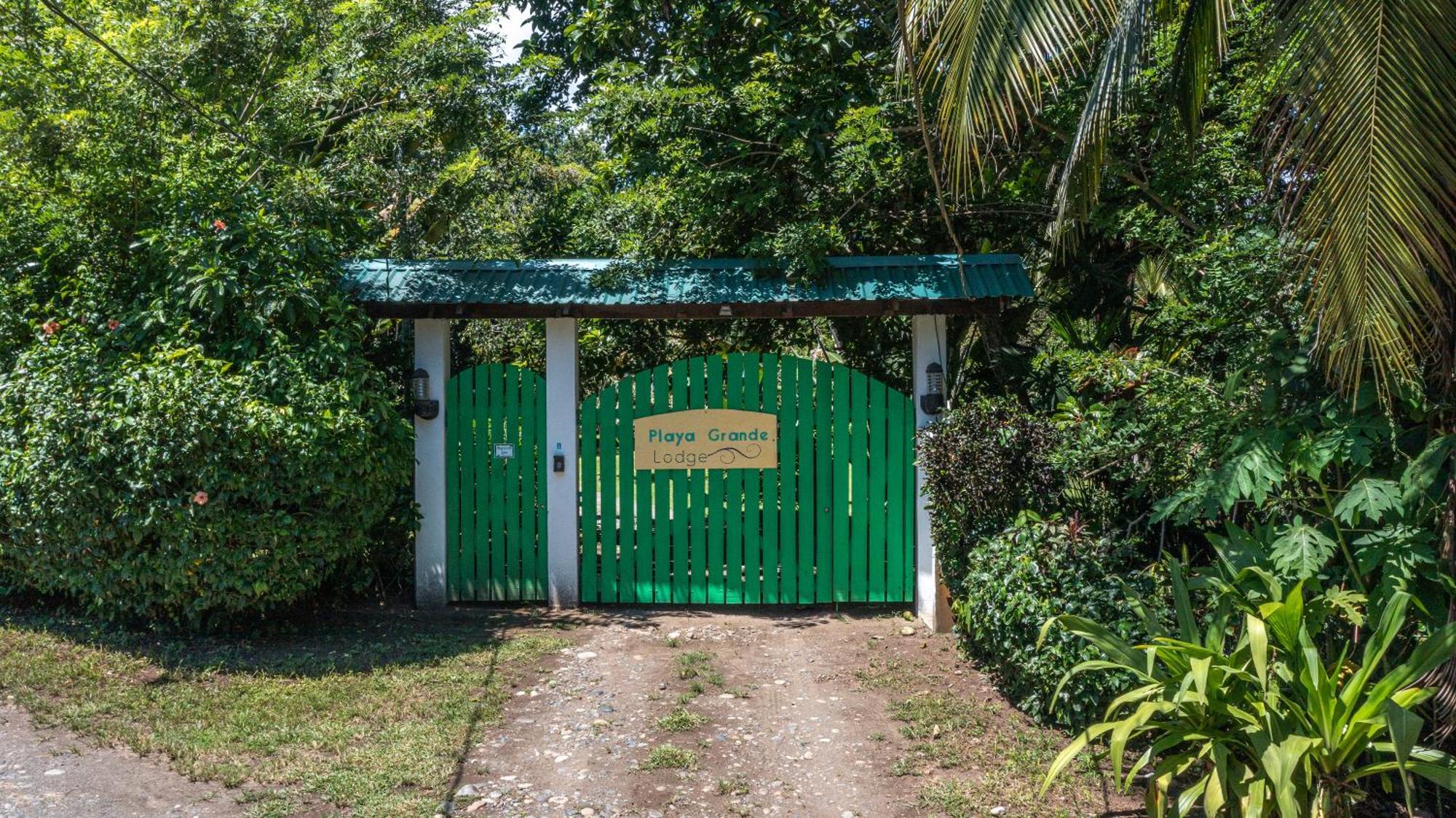 Playa Grande & Tree House * Cahuita