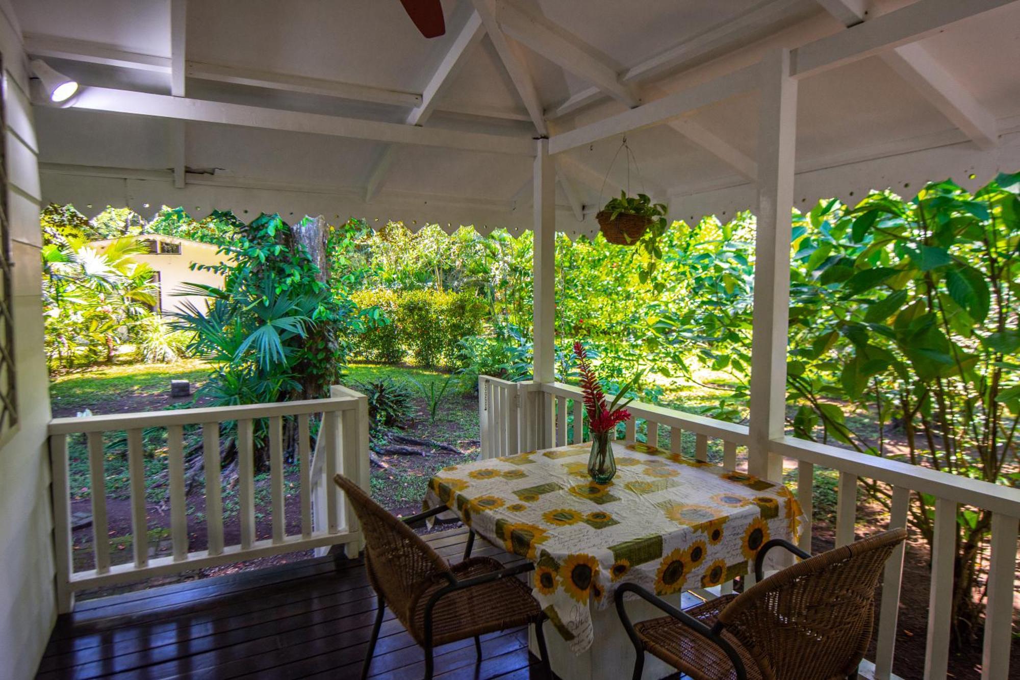 Playa Grande & Tree House * Cahuita
