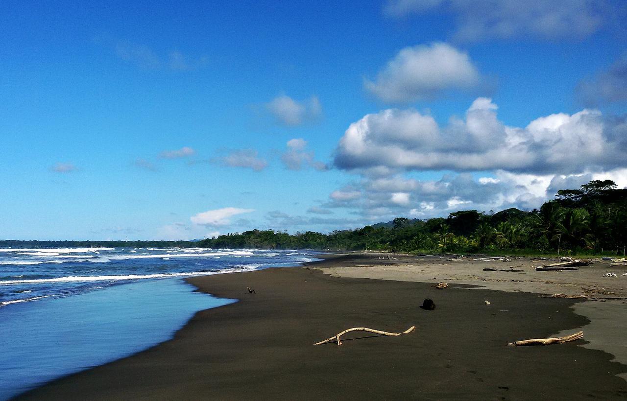 Playa Grande & Tree House Lodge *